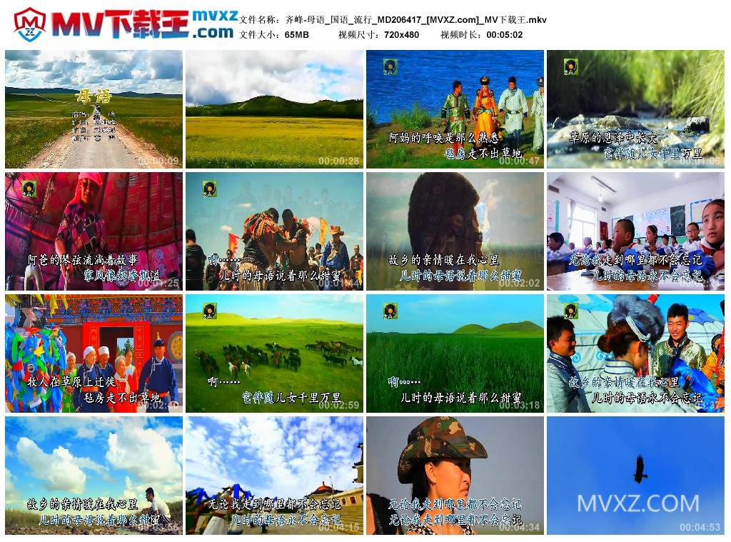 齐峰-母语_国语_流行_MD206417